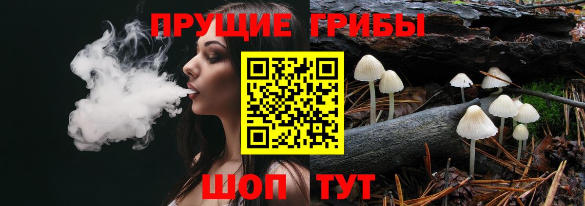 Псилоцибиновые грибы мицелий  Псилоцибиновые грибы Psilocybine cubensis  Заводоуковск  Вход с VPN 